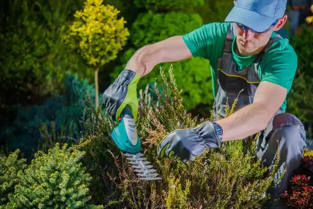landscaping services Northwoods